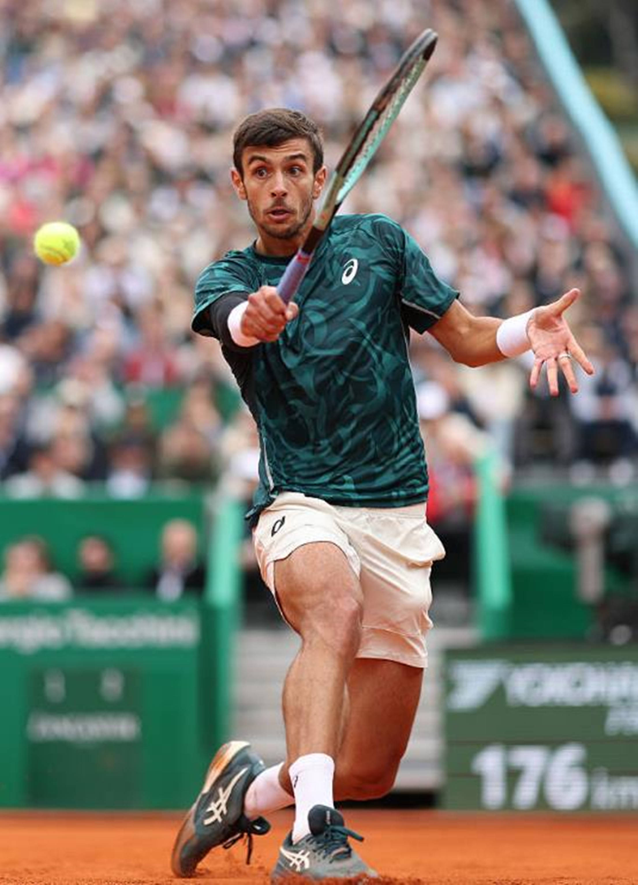 球迷的爱护 球迷的爱护